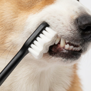 <span class=keywords><strong>Spazzolino</strong></span> per Animali Domestici con Setole Ultra-Morbide |   Pulizia Profonda dei Denti per l'Igiene Orale di Cani e Gatti - Product Image 6