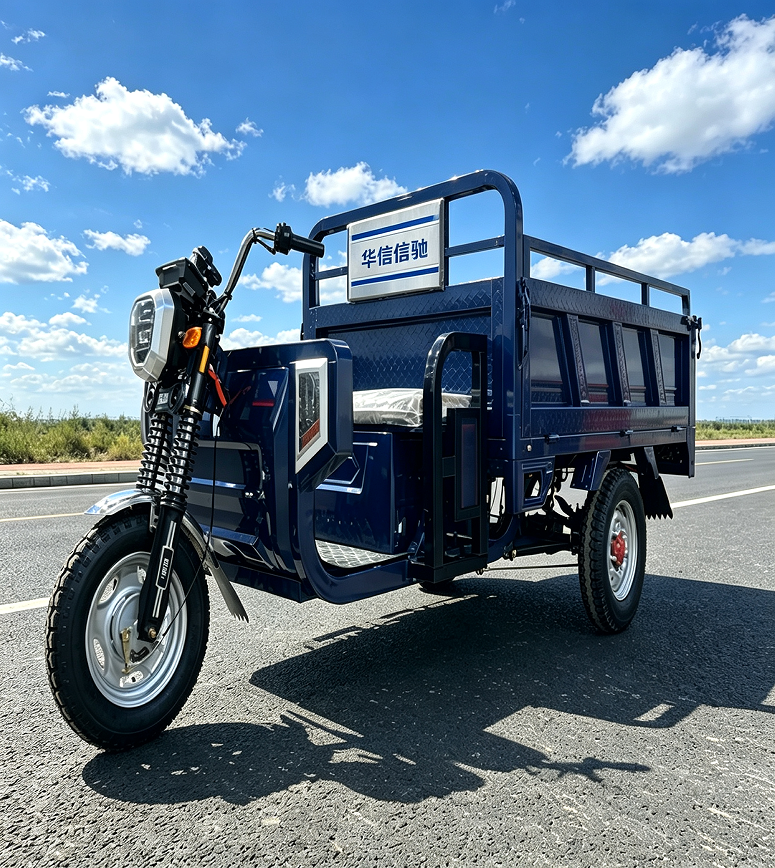 Tricyle Sample Electric Scooter 3 Wheels Electric Cargo Tricycle Electric Tricycles ...
