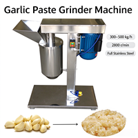 Broyeur Commercial de Gingembre, d'Ail et de Pâte de Piment, Machine à Hacher