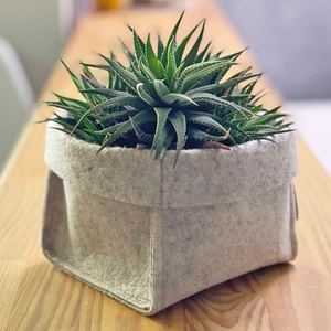 Cestino pratico <span class=keywords><strong>in</strong></span> <span class=keywords><strong>feltro</strong></span> per piccole cose nuova scatola di immagazzinaggio per la casa - Product Image 2