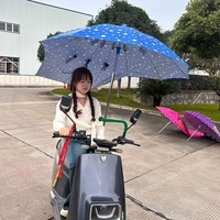 Vente d'usine : Vélo électrique avec parapluie |   Pare-soleil imperméable avec revêtement argenté, design résistant au vent