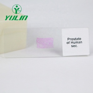 50 pz scatola pulcino embrione preparati vetrini da microscopio - Product Image 6