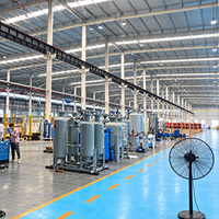 Générateur d'azote PSA pour l'industrie de l'emballage de semi-conducteurs, machine N2, capacité 400 Nm³/h, tension personnalisée, à vendre directement de l'usine