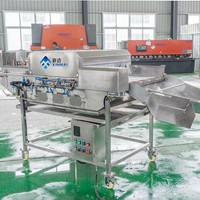 Le plus nouveau type de fruits de mer congelés légumes ormeau crevettes viande glace glaçage glaçure revêtement Machine