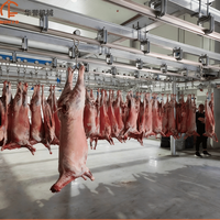 Équipement d'abattage halal pour moutons, équipement d'abattage pour chèvres, machine à fendre les carcasses de moutons pour abattoir halal de chèvres