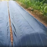 Tapis anti-mauvaises herbes en PP, tapis de couverture du sol pour l'horticulture