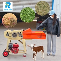 Broyeur de fourrage électrique 220V 3000kg/h pour ensilage, aliments pour animaux (bovins, chèvres, moutons, volailles) – pour fourrage humide ou sec