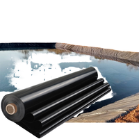 Bâches en géomembrane HDPE pour réservoirs, 0,6 mm, réductions sur les commandes en gros, membrane anti-humidité pour l'agriculture