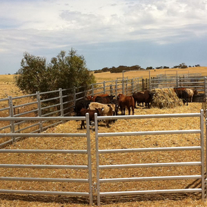 Top Manufacturer Aluminum Powder Coated Cattle Ranch <strong>Hog</strong> Fence <strong>Panel</strong> with Safety Fencing for Yard Use - Product Image 2