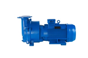 Thông minh 2BV Vòng nước bơm cho thông minh sản xuất PLC điều khiển thời gian thực giám sát hiệu suất - Product Image 6