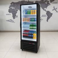 Réfrigérateur Vitrine à Porte Simple en Verre, Refroidissement Direct Électrique, Armoire Réfrigérée pour Boissons, Utilisation Extérieure, Camping-Car, Maison