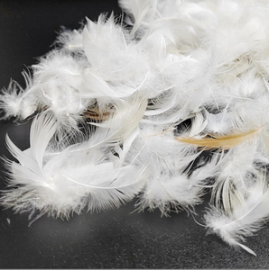 Remplissage de plumes <span class=keywords><strong>d</strong></span>'<span class=keywords><strong>oie</strong></span> lavées <span class=keywords><strong>prix</strong></span> usine pour literie coussin oreiller couette certifié RDS - Product Image 5