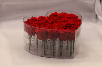 Hflora - Fournisseur direct d'usine - 19 pièces de fleurs éternelles stabilisées - Roses réelles préservées - Boîte en acrylique en forme de cœur pour la fête des mères