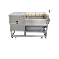 Premium Automatische Groente- en Fruitwasser met Ui- en Gember Schiller, voorzien van een Premium Pomp PLC Systeem en Borstelwassysteem