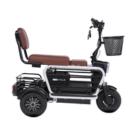 Tricycle électrique Paige pour adultes, véhicule pour animaux de compagnie, vélo pour enfants, tricycle motorisé 800W Roadster 3 roues, moto cargo T-rex