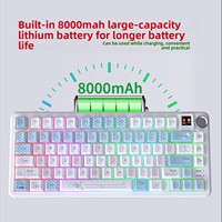 Keyboard Mekanik 101-Tombol DK75PRO Black Cherry Switch Grosir Siap Kirim, PS/2 untuk Layar Tiga Mode