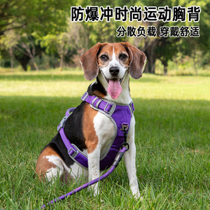 <b>Dog</b> <b>Harness</b> With Leash For Small Medium <b>Large</b> <b>Dogs</b> Chest Strap Adjustable Size Purple Orange Green Blue Red - Product Image 3