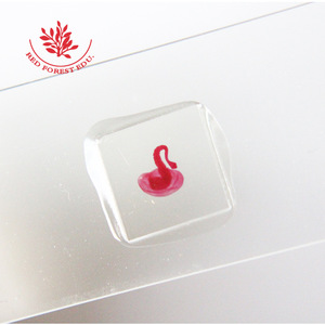 Lames microscopiques du scolex de la larve de ver de la porcine, clairement structurées et fortement colorées, une lame microscopique d'une cysticérrose - Product Image 5