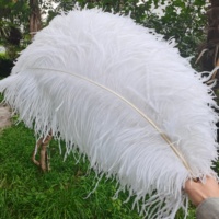 Plumes d'autruche en gros, grandes (65-70 cm), multicolores, pour coiffes de carnaval, sacs à dos, décorations de mariages et événements