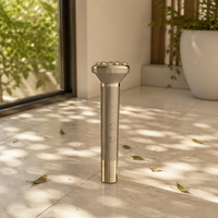 Rouleau de massage 3D portatif rechargeable 2 en 1 pour le visage, le cou, les bras, la poitrine, les jambes, pour la relaxation et le raffermissement de la peau