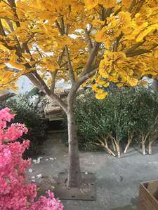 Arbres d'automne personnalisés feuille de <span class=keywords><strong>Ginkgo</strong></span> <span class=keywords><strong>Biloba</strong></span> jaune feuilles arbre plantes artificielles grand arbre de <span class=keywords><strong>Ginkgo</strong></span> pour la décoration de paysage - Product Image 5