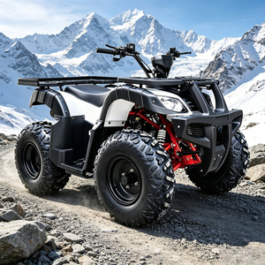 <span class=keywords><strong>Cuatrimoto</strong></span> Utilitaria de 180cc, 8.3kW de Alta Potencia, 4 Ruedas, con Portaequipajes y Marcha Atrás, 1+1 Automática, de Gasolina, para Granja - Product Image 5