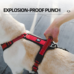 Pettorina e Guinzaglio per Cani di Taglia Grande con Strisce Riflettenti Traspiranti Vendita all'Ingrosso <span class=keywords><strong>2026</strong></span> - Product Image 2