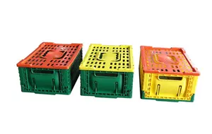 Casse di plastica per frutta e verdura best seller scatole di plastica pieghevoli scatole di plastica