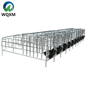 Parcs de Mise Bas Galvanisés pour Truies, Stalles de Gestation pour Porcs, Colonnes de Limitation, Équipement d'Élevage - Product Image 4