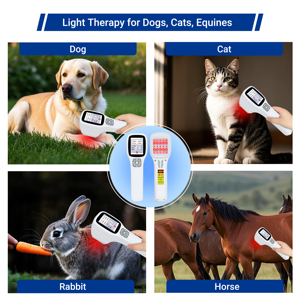 Meilleur appareil domestique de thérapie laser froid LLLT portable de classe 3 650nm 808nm pour le <span class=keywords><strong>traitement</strong></span> des déchirures <span class=keywords><strong>du</strong></span> ligament croisé antérieur (LCA) et de la colonne vertébrale chez le chien - Product Image 5