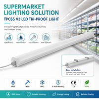 Luminaire Tri-Proof Premium à Faible Éblouissement, Classement IP65, 20-60W, Garantie 5 Ans, Éclairage pour Rayonnages de Supermarchés Européens, Allées et Caisses, IRC80