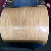 Bobine de tôle PPGL revêtue de PVDF pour l'architecture côtière haut de gamme et la protection de l'environnement marin