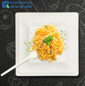 Assiettes carrées en bagasse de canne à sucre de 6/8/10 pouces, personnalisables, micro-ondables, compostables, biodégradables, en papier bagasse - Product Image 6