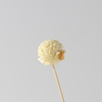 Popcorn sans sucre, adapté aux régimes, texture légère et croustillante, collation naturelle et saine, faible en calories, vente en gros