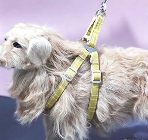 Ensemble <span class=keywords><strong>Harnais</strong></span> et Laisse <span class=keywords><strong>Anti</strong></span>-Évasion en Nylon pour <span class=keywords><strong>Chien</strong></span>, Type Gilet Réglable, Corde de <span class=keywords><strong>Traction</strong></span> pour Chiens de Petite, Moyenne et Grande Taille - Vente en Gros - Product Image 2