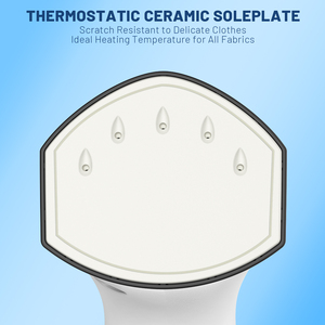 Portable Electric 1000W 250ml Clothes Steam Leakproof Dual Voltage Wrinkle Remover <strong>Iron</strong> Steamer For Household Hotel Use - Product Image 4