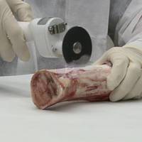 L'autopsie électrique d'acier inoxydable de Roundfin a vu des outils de dissection de morgue à vendre