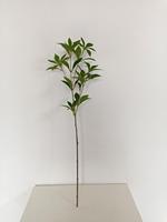 EG-J078 High66cm arbres artificiels vraie touche branche de laurier décoration de la maison pot décoration plantes artificielles