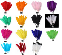 Plumes de dinde colorées blanches et noires teintes sur mesure en gros, 25-30 cm, pour l'artisanat et les fêtes
