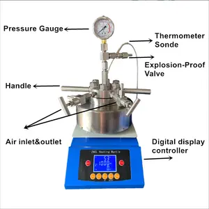 Mini Reactor de Hidrodenación de Acero Inoxidable de 50/100 ml, <span class=keywords><strong>Autoclave</strong></span> de Laboratorio Pequeño, Simple, de Alta Temperatura y Alta Presión - Product Image 2