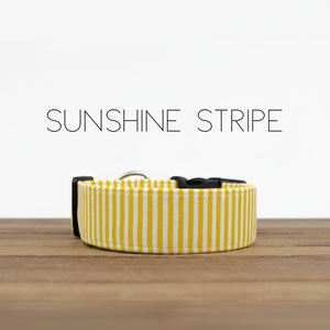 Rayure soleil-Collier pour chien - Product Image 1