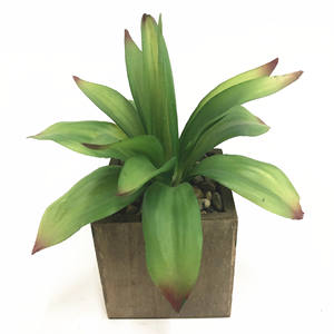 Planta Suculenta Artificial de <span class=keywords><strong>Echeveria</strong></span> Verde Realista y Grande, Hecha de Material PE, para Decoración de Jardín y Ocasiones como Pascua - Product Image 5