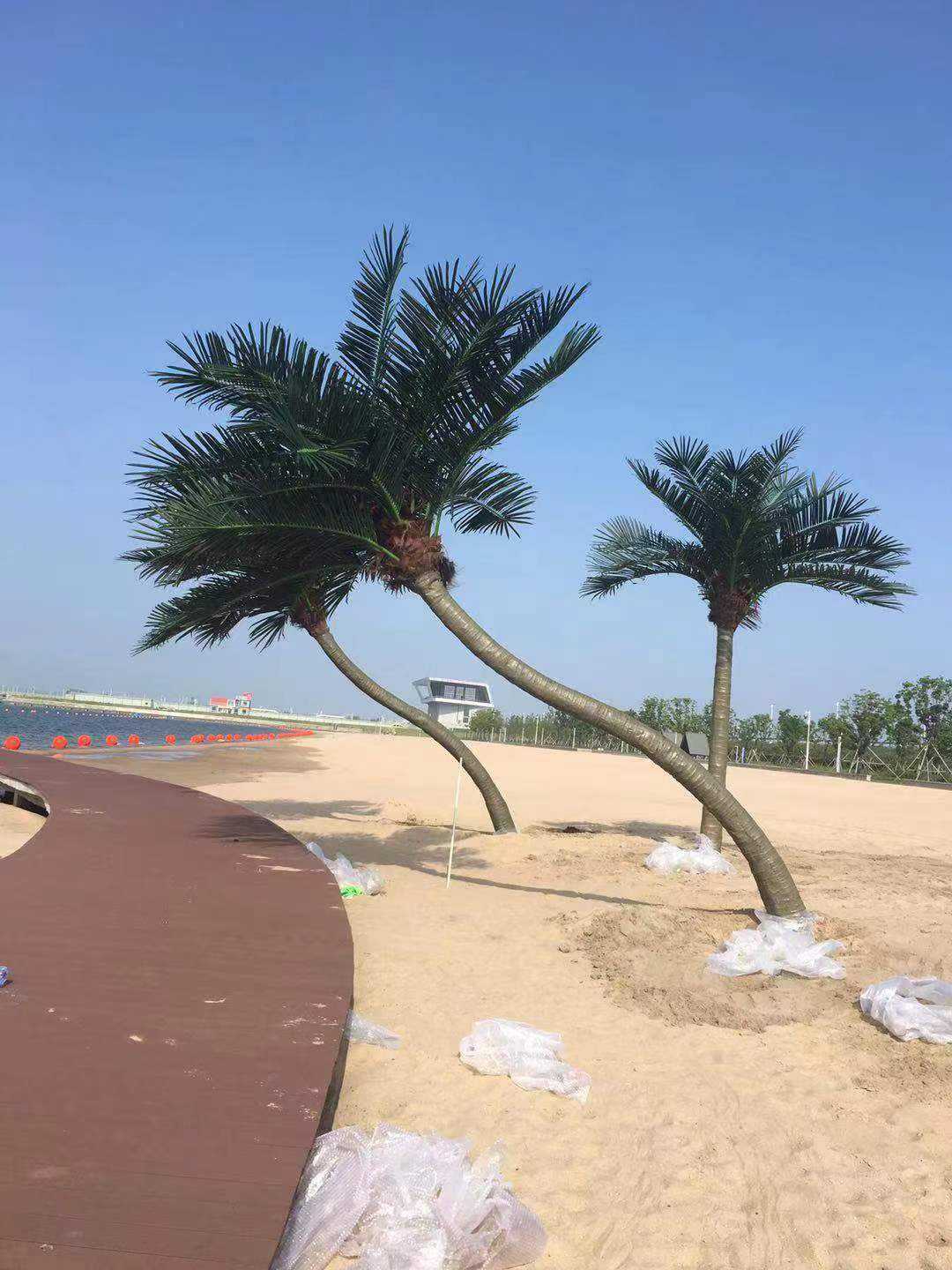 Beach tree