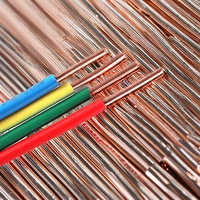 Cable Eléctrico BV de Cobre Sólido de un Solo Núcleo, 16 AWG, 0.5mm, THHN/THWN, 450/750V, 100m, IP20, para Construcción y Hogar