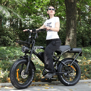 Vélo électrique Fatbike V20 Pro à deux places, moteur de vélo électrique VOMO X80 Pro Cycle E Bike 250W 20 pouces Ebike Electr Mountain Bike Ebike - Product Image 2