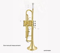 Wholesale Beginner 3 Key Trumpet Standard Set Bb Yellow Brass Trumpet