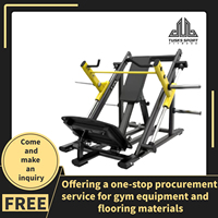 Máquina de remo lineal para gimnasio, equipo de ejercicio lateral para espalda, máquina de entrenamiento de fuerza lateral para espalda