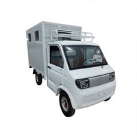 Camions et fourgons électriques : Mini-fourgons et fourgons de fret électriques à énergie nouvelle, véhicules électriques |   Voiture électrique, Autos électriques