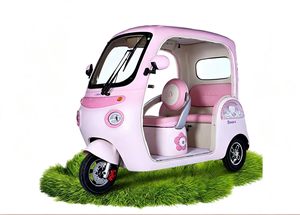 Scooter a Tre Ruote per Passeggeri con Batteria al Litio 800W 60V, Triciclo Elettrico per Adulti e Anziani - Product Image 6