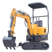 Livraison Gratuite – Nouvelle Excavatrice Compacte sur Chenilles de 1,0 Tonne Certifiée EPA avec Pompe Hydraulique PLC et Boîte de Vitesses, Garantie 1 An